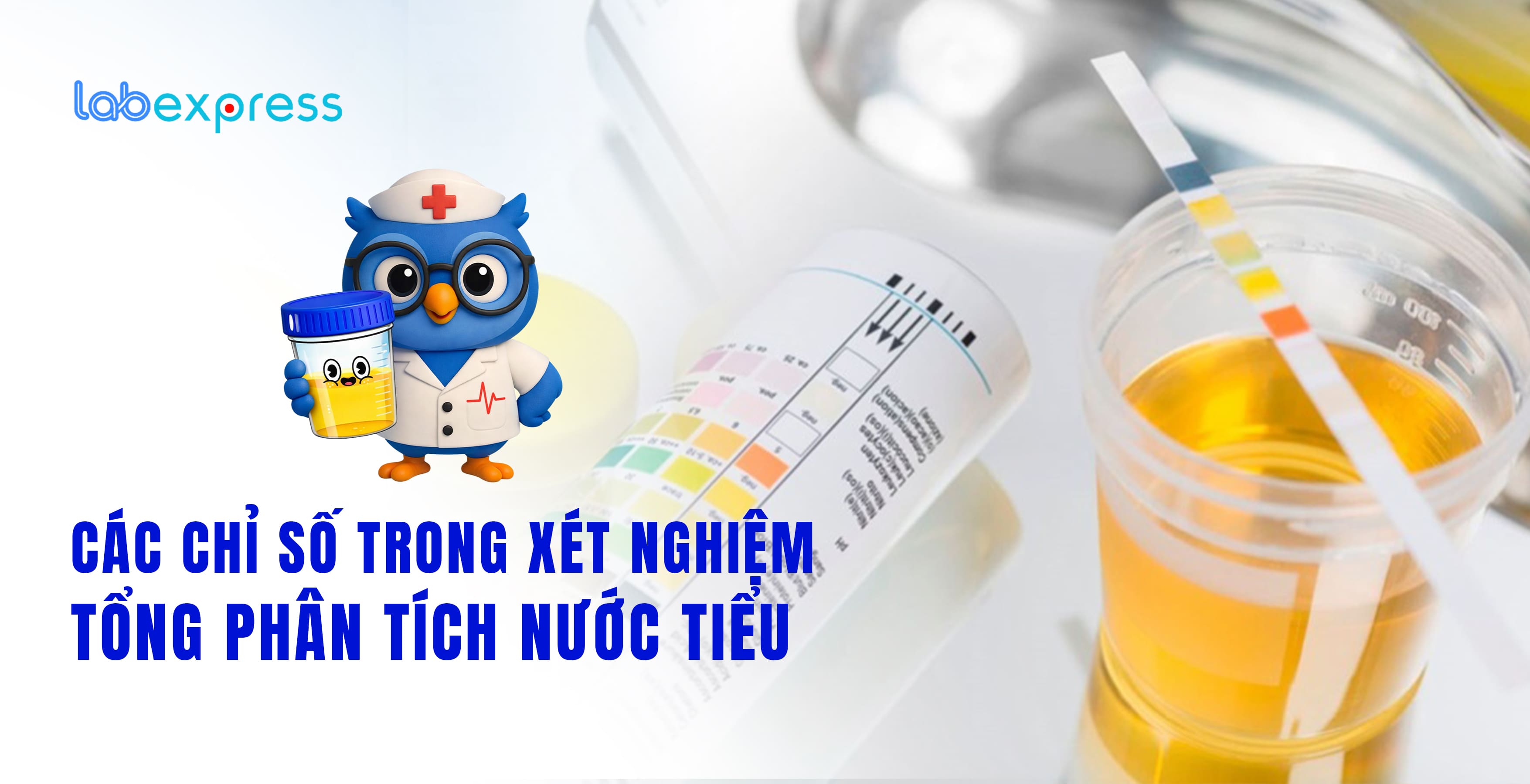 CÁC CHỈ SỐ TRONG XÉT NGHIỆM TỔNG PHÂN TÍCH NƯỚC TIỂU