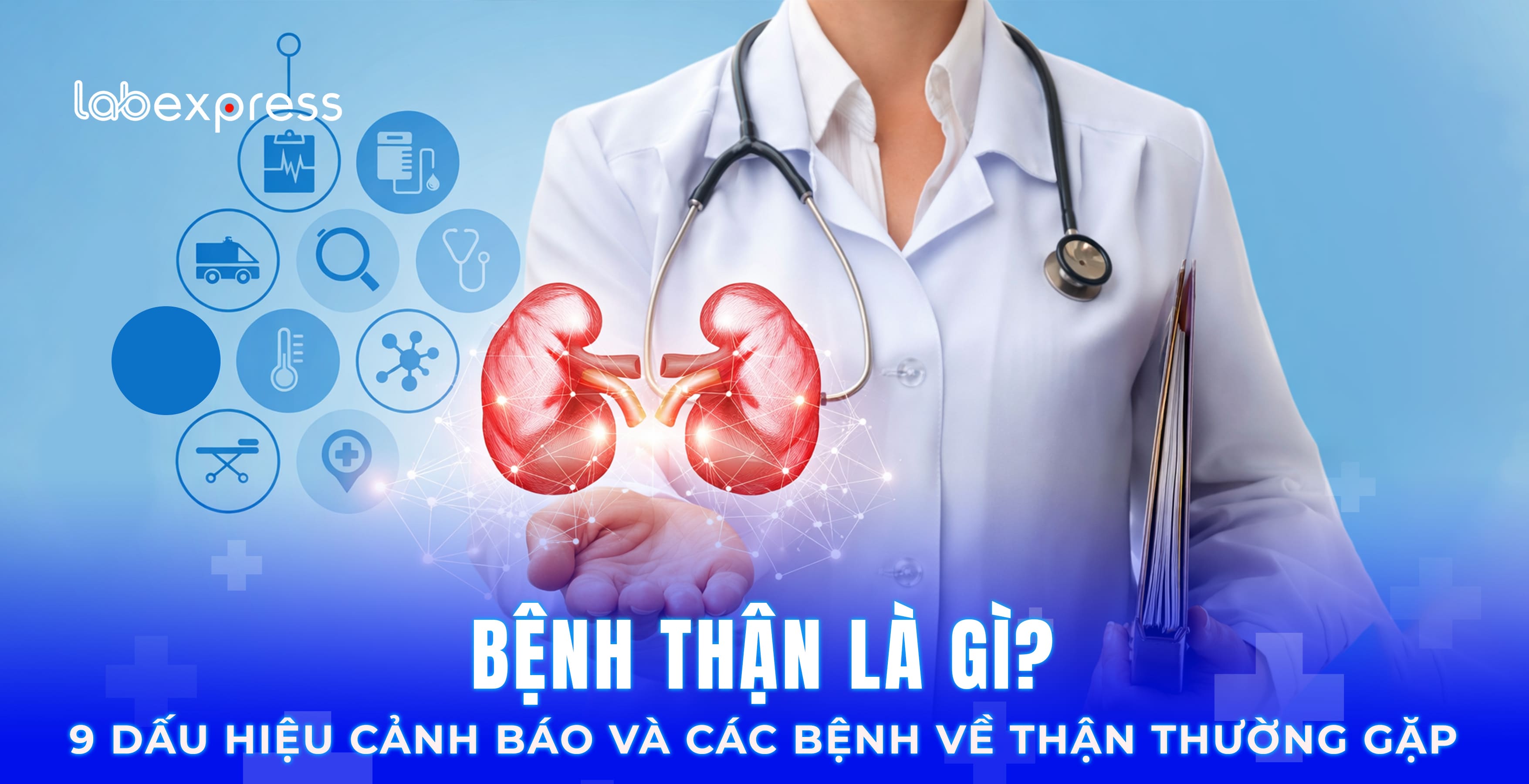 BỆNH THẬN LÀ GÌ? 9 DẤU HIỆU CẢNH BÁO VÀ CÁC BỆNH VỀ THẬN THƯỜNG GẶP