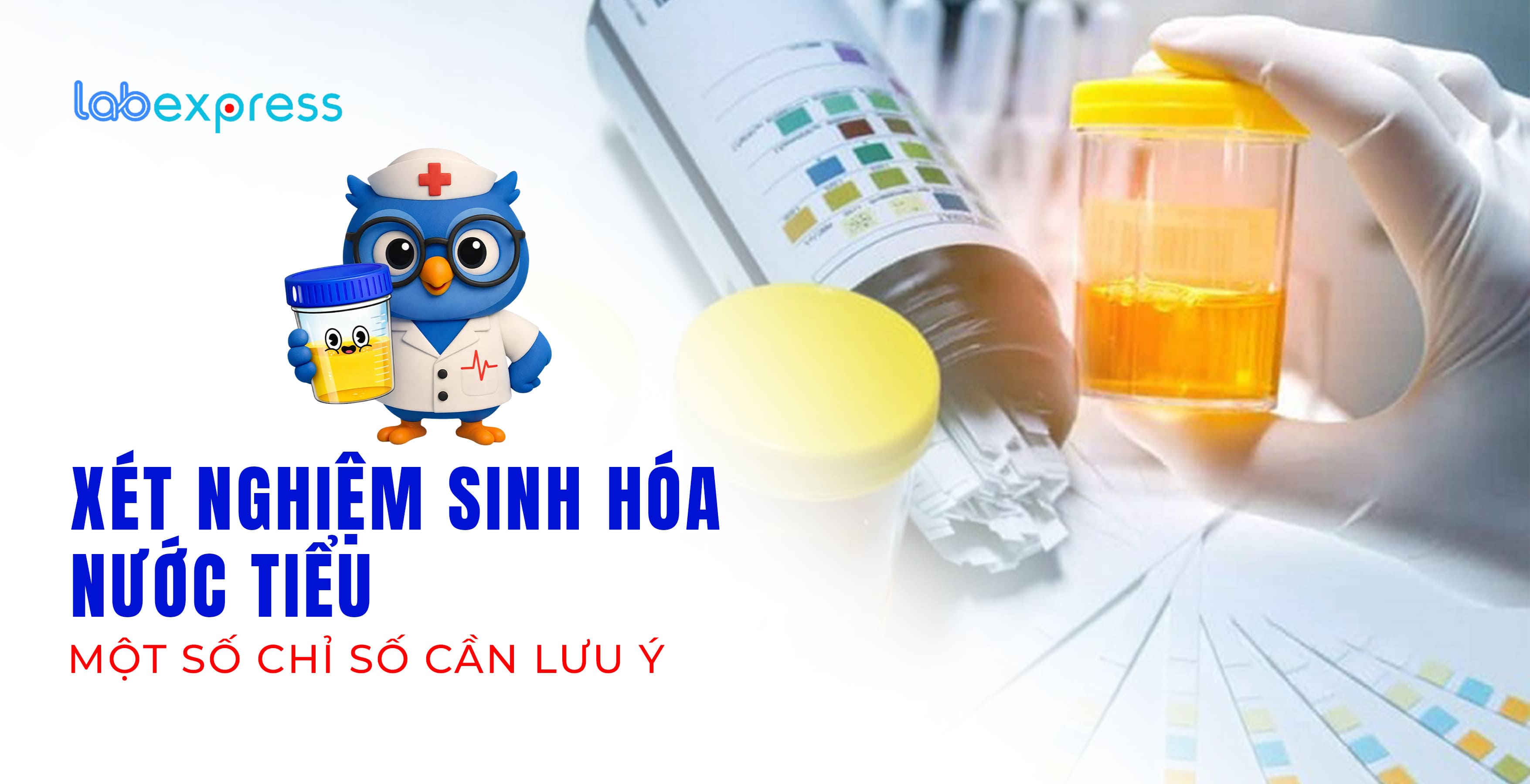 XÉT NGHIỆM SINH HÓA NƯỚC TIỂU - MỘT SỐ CHỈ SỐ CẦN LƯU Ý