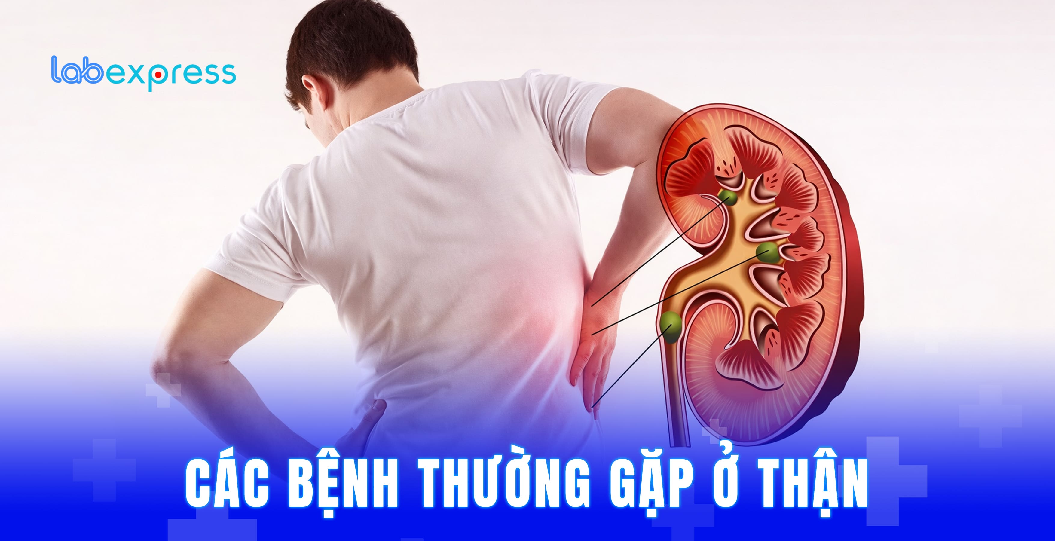 CÁC BỆNH THƯỜNG GẶP Ở THẬN
