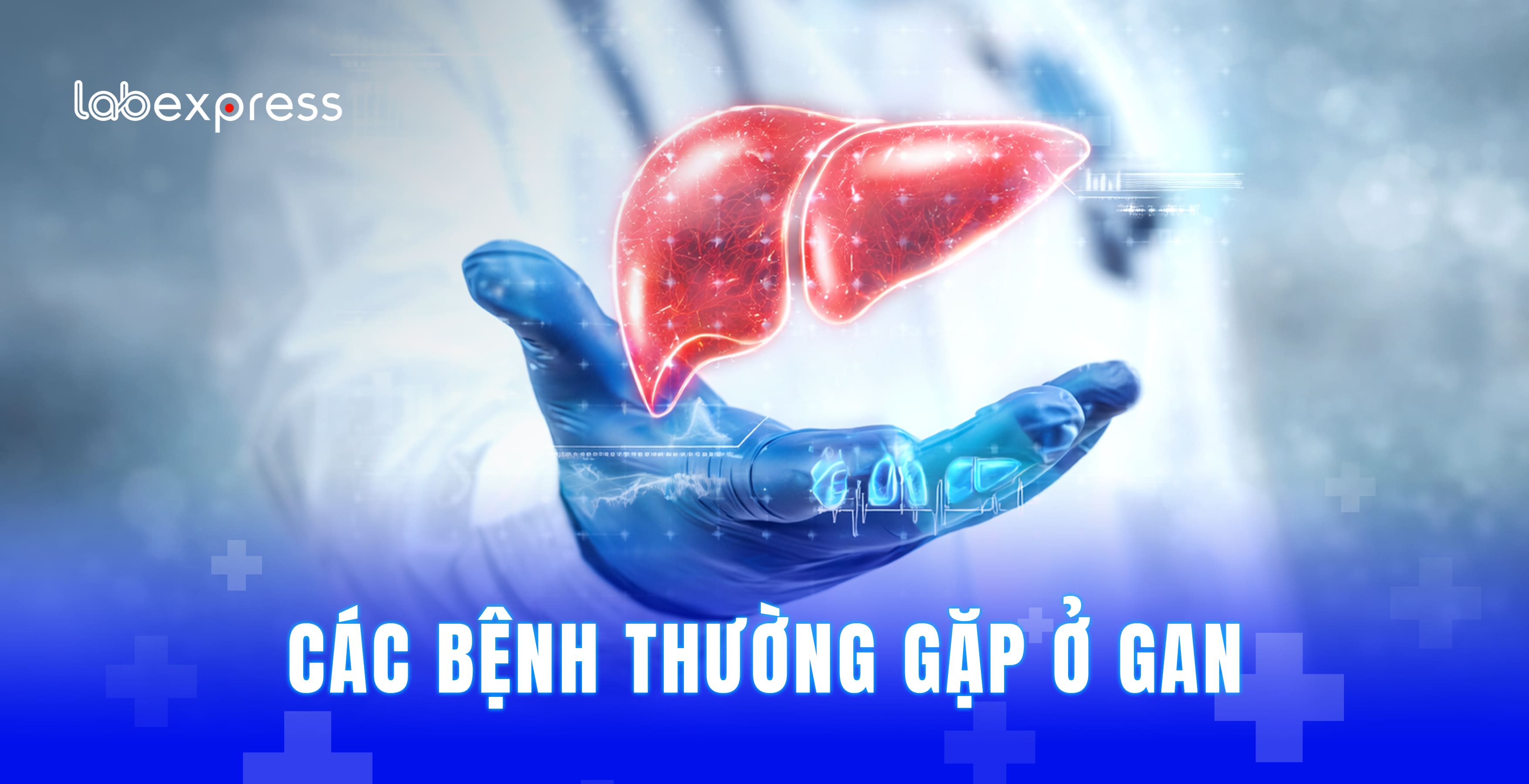 CÁC BỆNH THƯỜNG GẶP Ở GAN