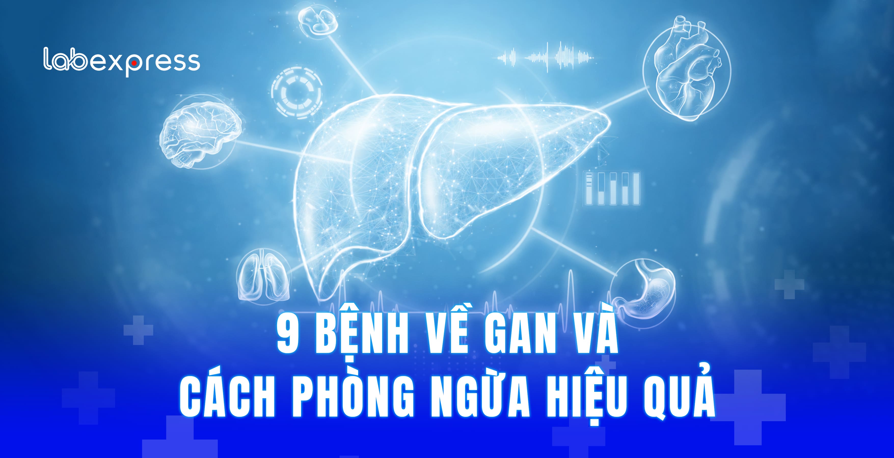 9 BỆNH VỀ GAN VÀ CÁCH PHÒNG NGỪA HIỆU QUẢ
