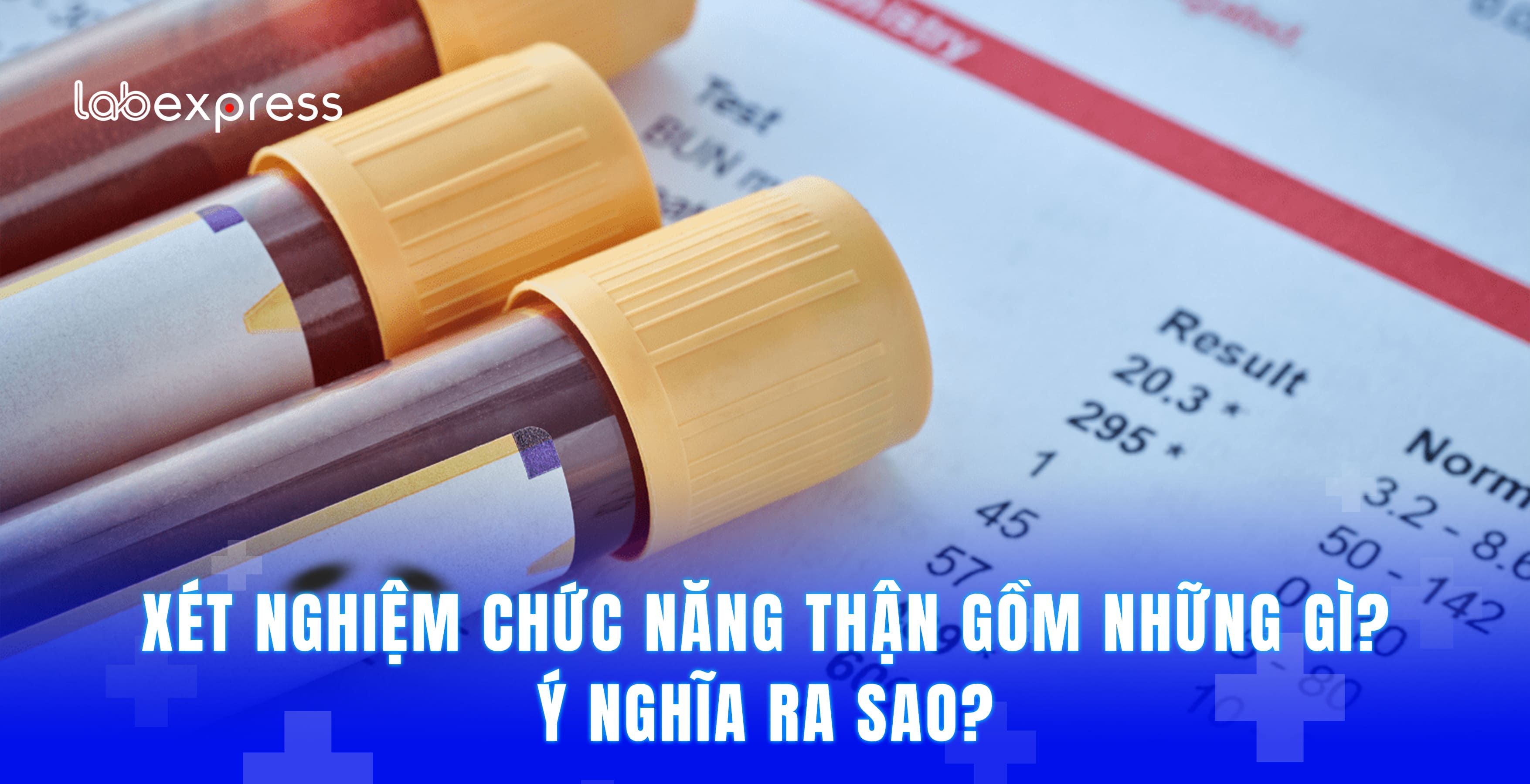 XÉT NGHIỆM CHỨC NĂNG THẬN GỒM NHỮNG GÌ? Ý NGHĨA RA SAO?