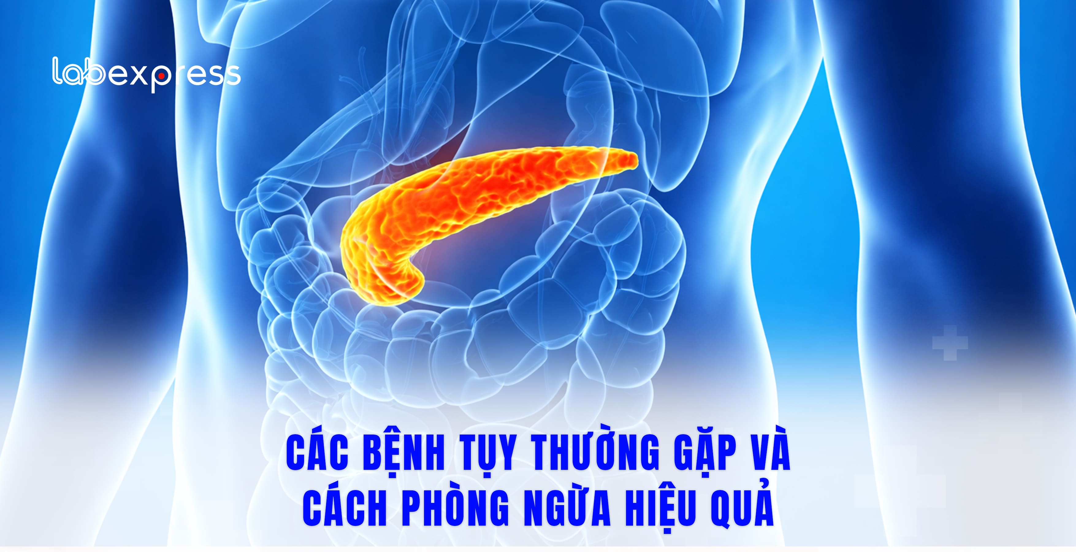 CÁC BỆNH TUỴ THƯỜNG GẶP VÀ CÁCH PHÒNG NGỪA HIỆU QUẢ